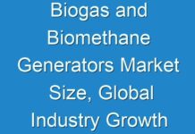 Biogas and Biomethane Generators Market Size, Global Industry Growth Statistics, Trends
