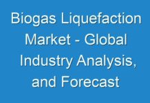 Biogas Liquefaction Market – Global Industry Analysis, and Forecast 2025