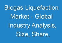 Biogas Liquefaction Market – Global Industry Analysis, Size, Share, Growth, Trends, and Forecast, 2024-2031