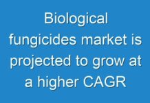 Biological fungicides market is projected to grow at a higher CAGR from 2024 to 2030