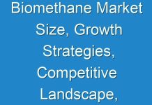 Biomethane Market Size, Growth Strategies, Competitive Landscape, Factor Analysis, 2024–2027