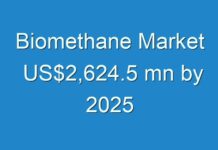 Biomethane Market US$2,624.5 mn by 2025