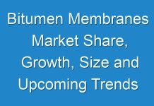 Bitumen Membranes Market Share, Growth, Size and Upcoming Trends Analysis, Research Report by 2024-2027