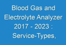 Blood Gas and Electrolyte Analyzer 2017 – 2024 : Service-Types, Development, Market Share, User-Demand, Industry Size