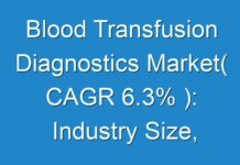 Blood Transfusion Diagnostics Market( CAGR 6.3% ): Industry Size, Growth, Revenue, Statistics, Competitive Landscape and Forecast 2025