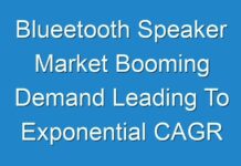Blueetooth Speaker Market Booming Demand Leading To Exponential CAGR Growth by 2027