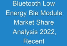 Bluetooth Low Energy Ble Module Market Share Analysis 2024, Recent Trends and Regional Growth Forecast by Types And Applications