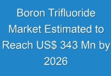 Boron Trifluoride Market Estimated to Reach US$ 343 Mn by 2026