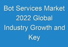 Bot Services Market 2024 Global Industry Growth and Key Manufacturers, Top Countries Data, Analysis Report 2030