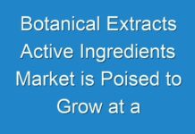 Botanical Extracts Active Ingredients Market is Poised to Grow at a Modest CAGR of 5.5% over the Forecast Period (2020-2030)