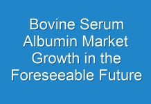 Bovine Serum Albumin Market Growth in the Foreseeable Future