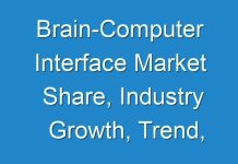 Brain-Computer Interface Market Share, Industry Growth, Trend, Drivers, Challenges, Key Companies by 2028