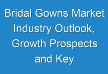 Bridal Gowns Market Industry Outlook, Growth Prospects and Key Opportunities 2017 – 2024