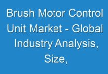 Brush Motor Control Unit Market – Global Industry Analysis, Size, Share, Growth, Trends 2025; COVID-19 Pandemic Set to Drop Sales