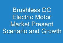 Brushless DC Electric Motor Market Present Scenario and Growth Prospects, 2024-2027