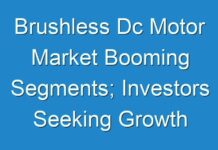 Brushless Dc Motor Market Booming Segments; Investors Seeking Growth 2024 -2030
