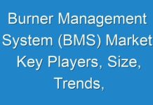 Burner Management System (BMS) Market Key Players, Size, Trends, Opportunities and growth Analysis 2016 – 2024