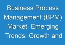 Business Process Management (BPM) Market Emerging Trends, Growth and Business Opportunities 2019