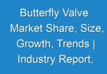Butterfly Valve Market Share, Size, Growth, Trends | Industry Report, Forecast by 2025; COVID-19 to Affect Future Growth Trajectory