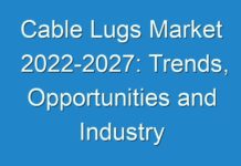 Cable Lugs Market 2024-2027: Trends, Opportunities and Industry Projections