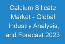 Calcium Silicate Market – Global Industry Analysis, and Forecast 2024