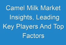 Camel Milk Market Insights, Leading Key Players And Top Factors Driving 2018–2028