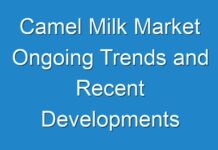 Camel Milk Market Ongoing Trends and Recent Developments