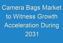 Camera Bags Market to Witness Growth Acceleration During 2031