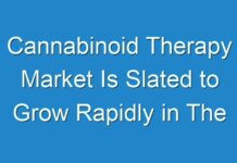 Cannabinoid Therapy Market Is Slated to Grow Rapidly in The Forthcoming Years | 2027