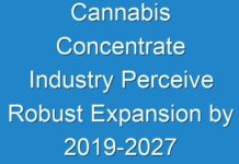 Cannabis Concentrate Industry Perceive Robust Expansion by 2019-2027