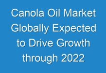 Canola Oil Market Globally Expected to Drive Growth through 2024
