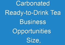 Carbonated Ready-to-Drink Tea Business Opportunities Size, Analytical Overview, Growth Factors, Demand, Trends And Forecast To 2017 – 2025