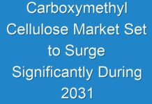 Carboxymethyl Cellulose Market Set to Surge Significantly During 2031