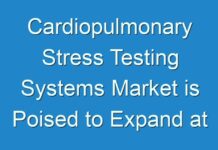 Cardiopulmonary Stress Testing Systems Market is Poised to Expand at a CAGR of 4.8% During the Forecast Period 2024-2025