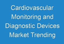 Cardiovascular Monitoring and Diagnostic Devices Market Trending Attributes Creating Positive Impact On The Industry Shares 2017 – 2024