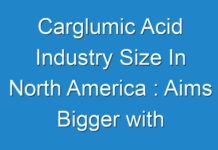 Carglumic Acid Industry Size In North America : Aims Bigger with Technological Innovations by 2026