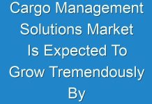 Cargo Management Solutions Market Is Expected To Grow Tremendously By 2024