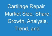 Cartilage Repair Market Size, Share, Growth, Analysis, Trend, and Forecast Research Report by 2026