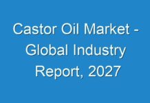 Castor Oil Market – Global Industry Report, 2027