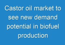 Castor oil market to see new demand potential in biofuel production