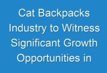 Cat Backpacks Industry to Witness Significant Growth Opportunities in UK Region throughout 2024-2031