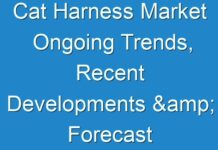 Cat Harness Market Ongoing Trends, Recent Developments & Forecast till 2031