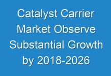 Catalyst Carrier Market Observe Substantial Growth by 2018-2026