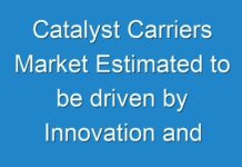 Catalyst Carriers Market Estimated to be driven by Innovation and Industrialization 2031