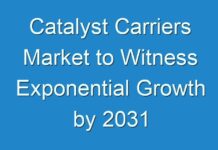 Catalyst Carriers Market to Witness Exponential Growth by 2031