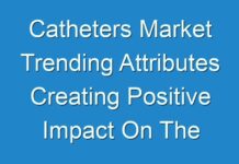 Catheters Market Trending Attributes Creating Positive Impact On The Industry Shares 2017 – 2025