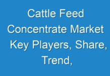 Cattle Feed Concentrate Market Key Players, Share, Trend, Segmentation and Forecast to 2028
