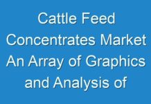 Cattle Feed Concentrates Market An Array of Graphics and Analysis of Major Industry Segments 2028