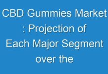 CBD Gummies Market : Projection of Each Major Segment over the Forecast Period 2028