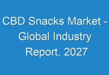 CBD Snacks Market – Global Industry Report, 2027